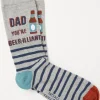 FatFace 1 Pack Beerillant Socks Grey New