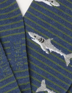 FatFace 1 Pack Shark Stripe Socks Navy