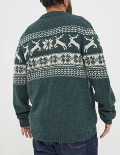 FatFace Family Reindeer Christmas Jumper Green Online