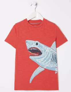 FatFace Glow-In-The-Dark Shark T-Shirt Washed Red New