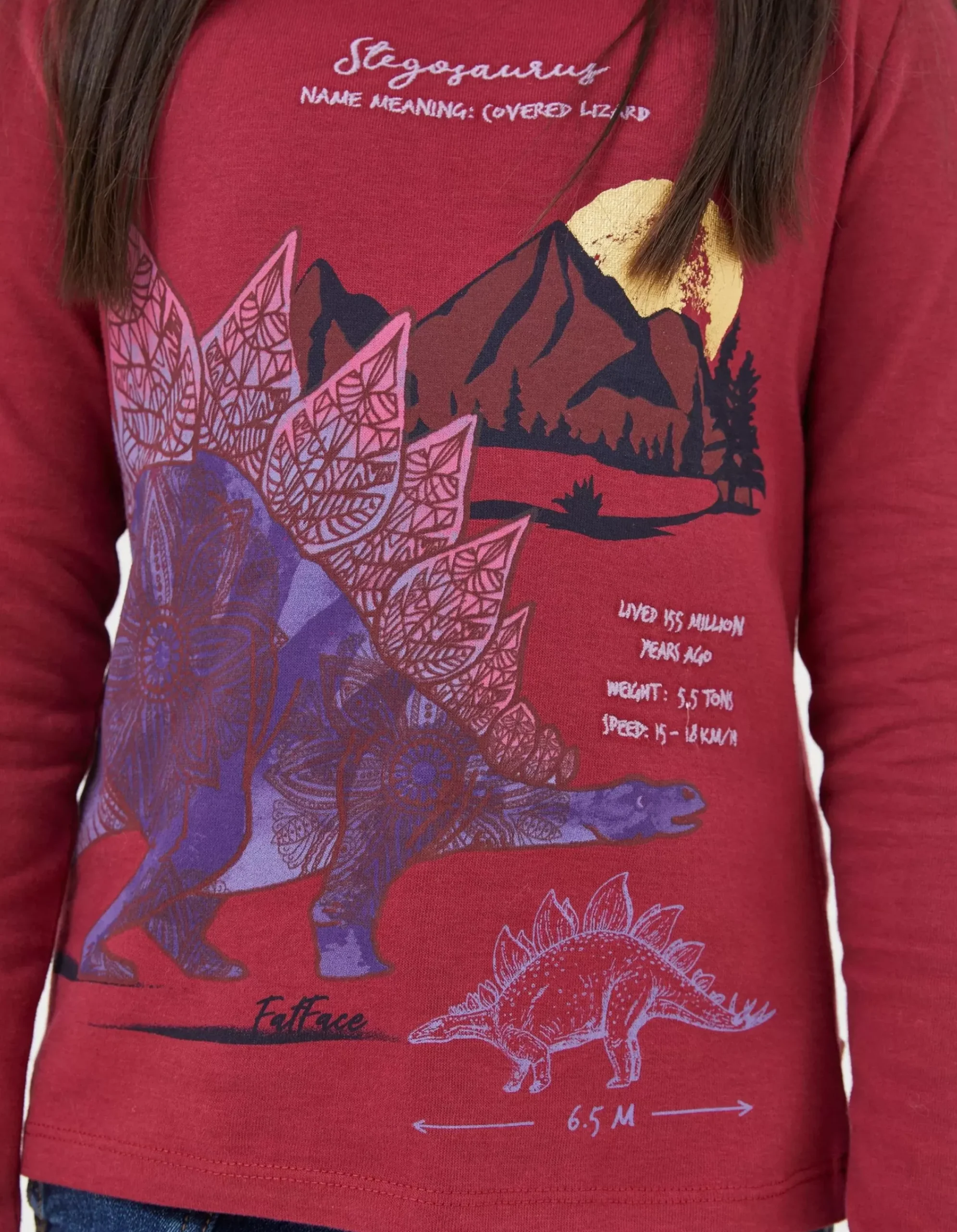 FatFace Stegosaurus Graphic T Shirt Berry Pink Sale